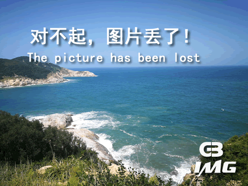 防灾减灾救灾工作要点